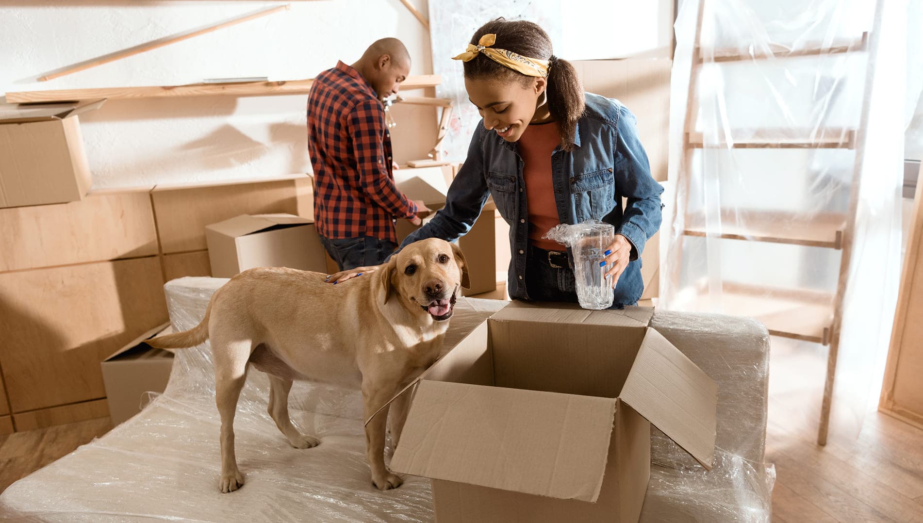 Packing boxes and supplies
