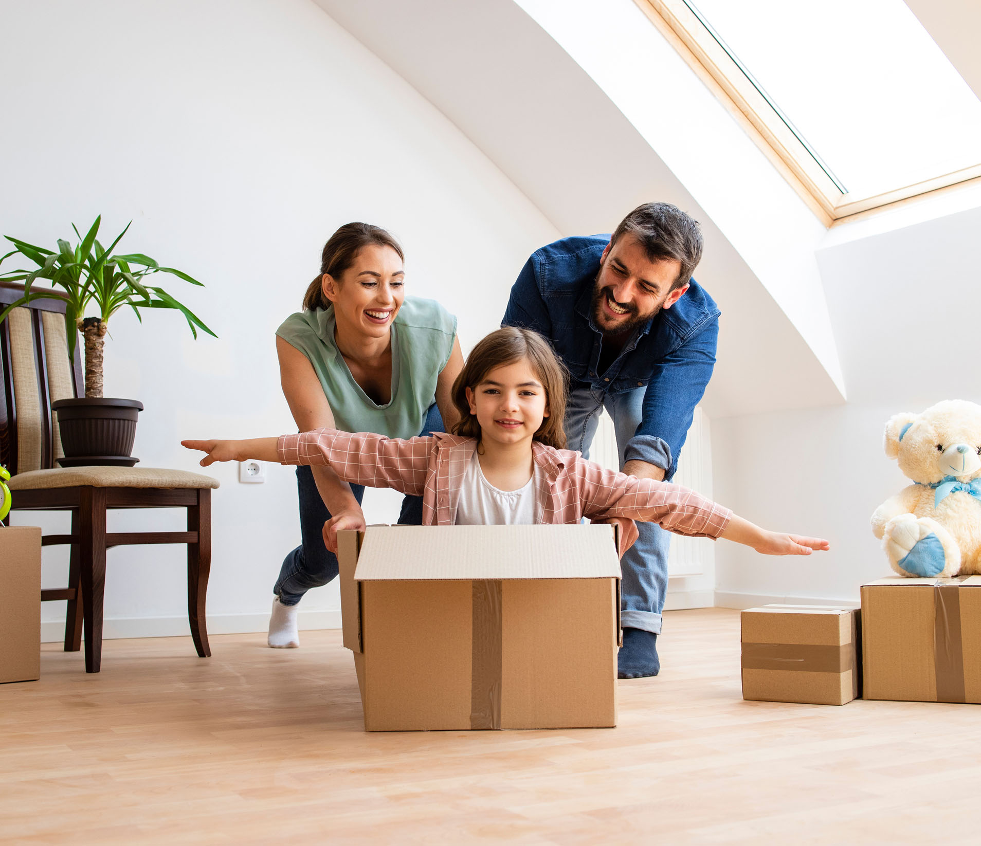 vehicles and pins locations